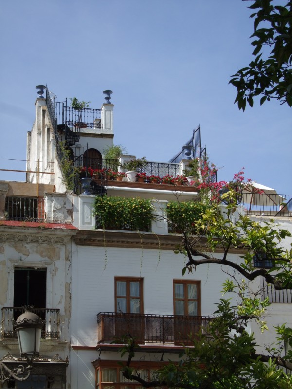 Anadalusien 2009 - 0682 